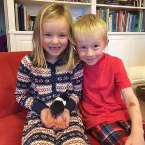 Meet your Posher, Paulette